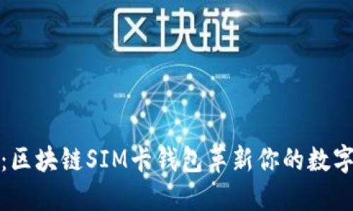 全新视野：区块链SIM卡钱包革新你的数字资产管理