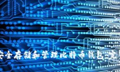 如何安全存储和管理比特