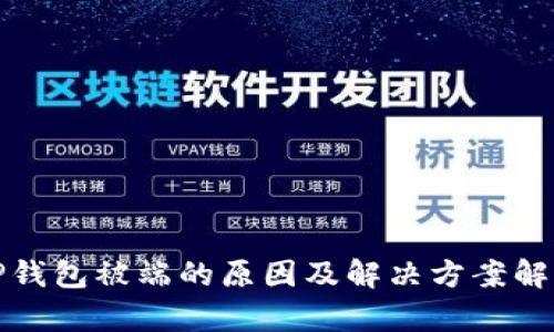 TP钱包被端的原因及解决方案解析