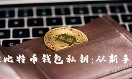 揭秘如何安全管理比特币钱包私钥：从新手到专家的实用指南