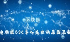 TP钱包电脑版BSC导入失败的