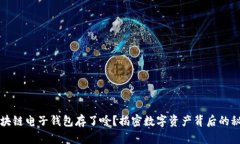 区块链电子钱包存了啥？