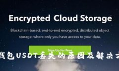 小狐狸钱包USDT丢失的原因