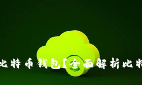 如何选择安全的比特币钱包？全面解析比特币钱包的安全性