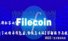 头部标签内容： 有了比特