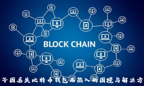   
男子因丢失比特币钱包而陷入的困境与解决方案