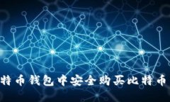 如何在比特币钱包中安全