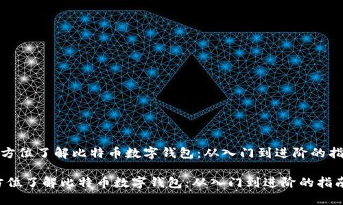 《全方位了解比特币数字钱包：从入门到进阶的指南》

全方位了解比特币数字钱包：从入门到进阶的指南
