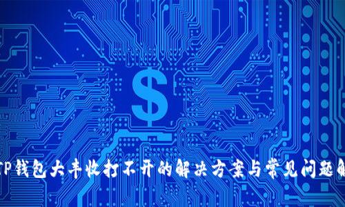 : TP钱包大丰收打不开的解决方案与常见问题解析