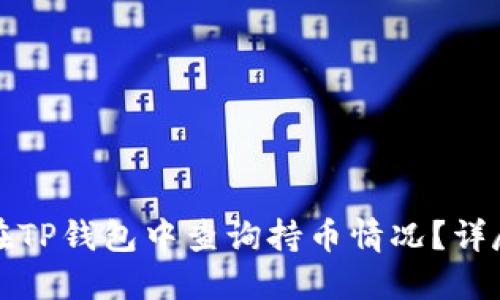 如何在TP钱包中查询持币情况？详尽指南