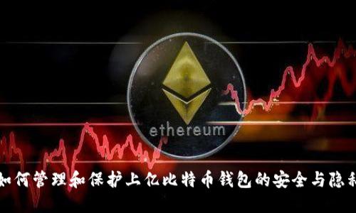如何管理和保护上亿比特币钱包的安全与隐私