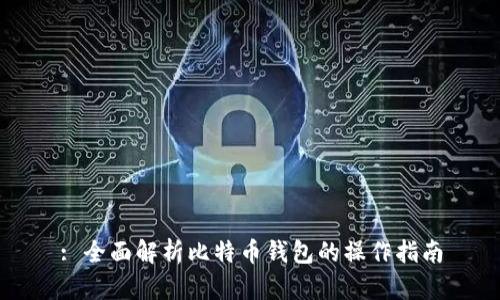 : 全面解析比特币钱包的操作指南