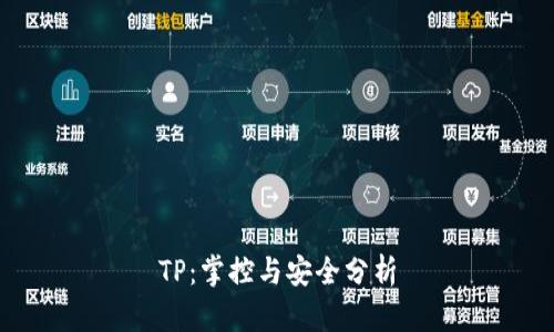 TP：掌控与安全分析